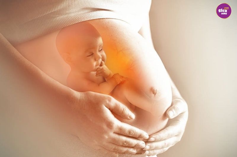 Giai đoạn bào thai bé bắt đầu hình thành
