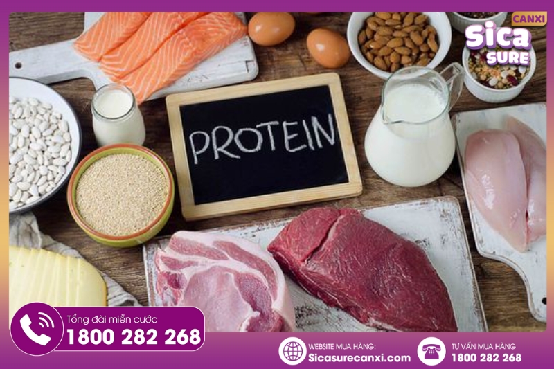 Bổ sung các thực phẩm chứa protein 