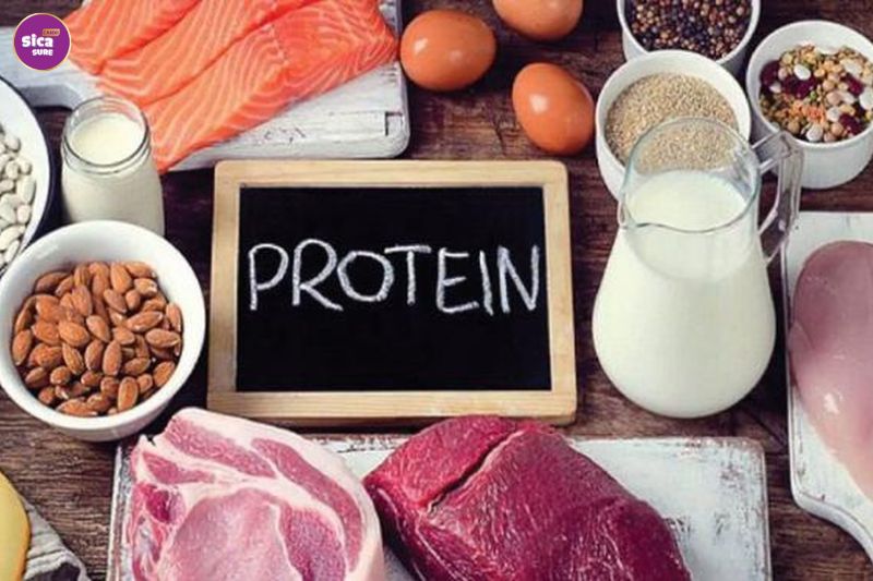 Thực phẩm giàu protein như thịt cá, sữa, trứng